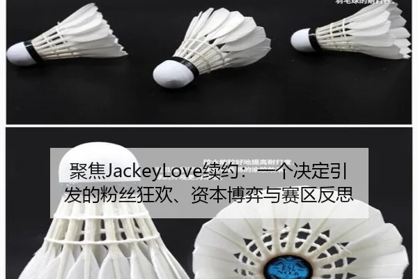 ju-jiao-xu-yue-yi-ge-jue-ding-yin-fa-de-fen-si-kuang-huan-zi-ben-bo-yi-yu-sai-qu-fan-si-2-452.jpg